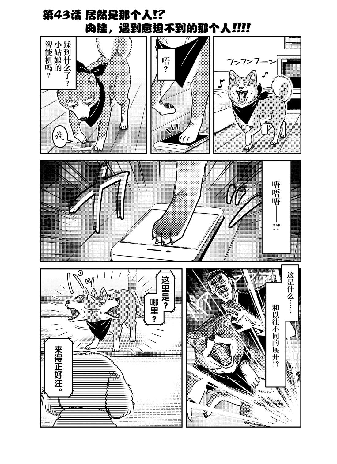 《织田肉桂信长》漫画最新章节第43话免费下拉式在线观看章节第【1】张图片