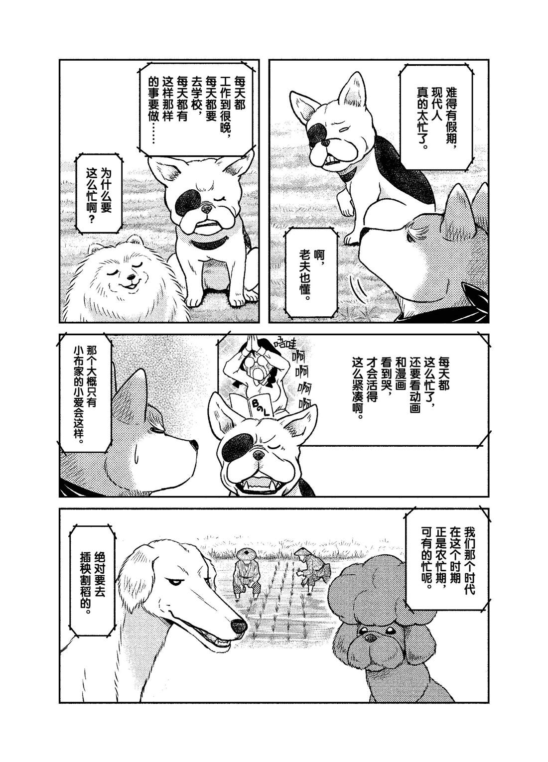 《织田肉桂信长》漫画最新章节第49话免费下拉式在线观看章节第【6】张图片