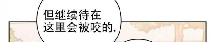 《 B级向导》漫画最新章节第27话免费下拉式在线观看章节第【50】张图片