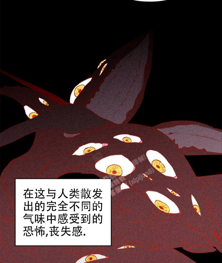 《 B级向导》漫画最新章节第53话免费下拉式在线观看章节第【37】张图片