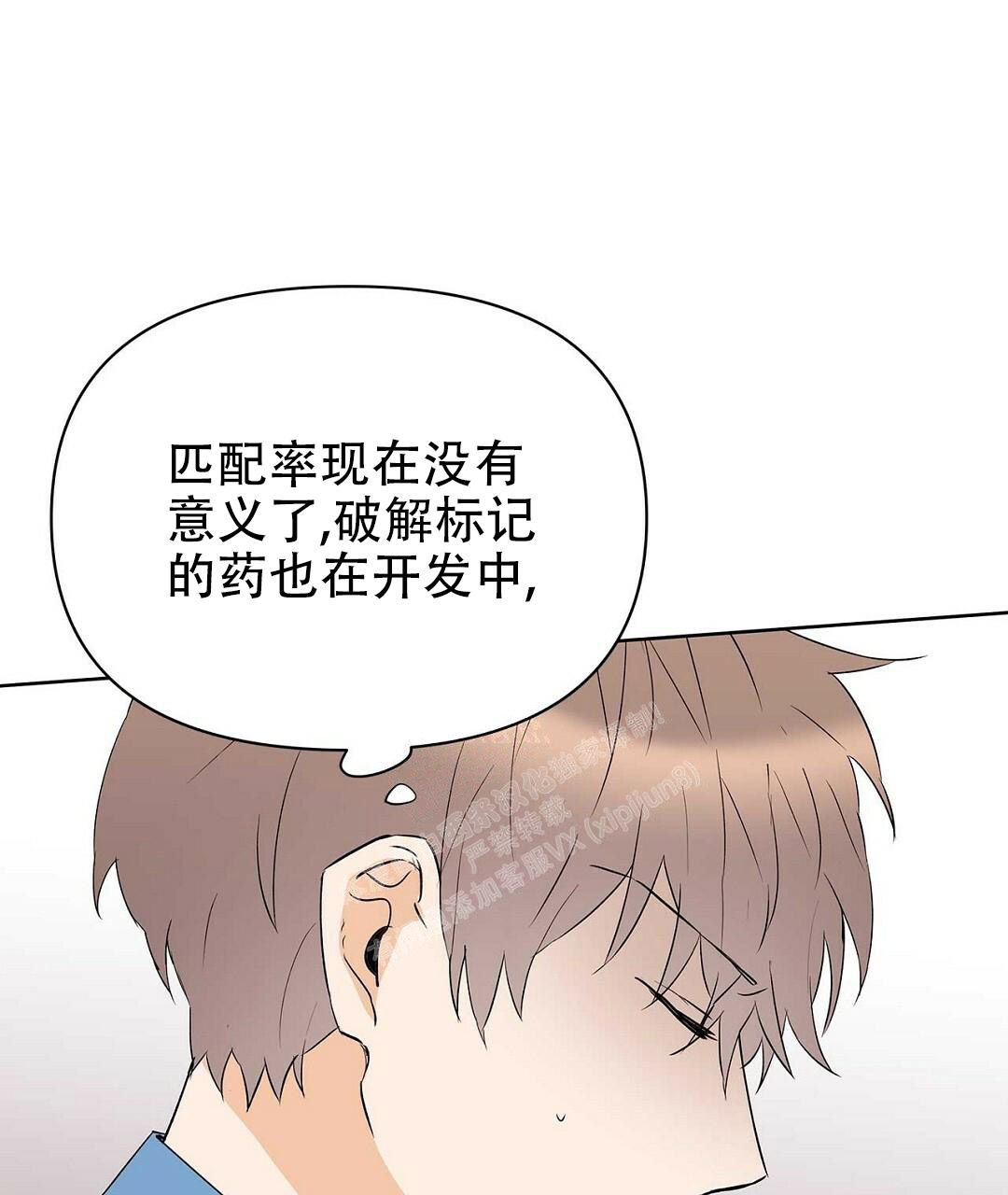 《 B级向导》漫画最新章节第88话免费下拉式在线观看章节第【41】张图片