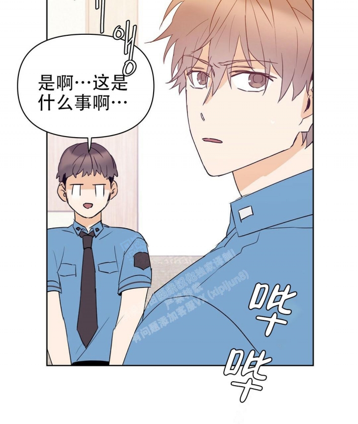 《 B级向导》漫画最新章节第65话免费下拉式在线观看章节第【83】张图片