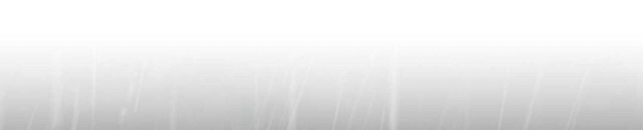 《 B级向导》漫画最新章节第79话免费下拉式在线观看章节第【75】张图片