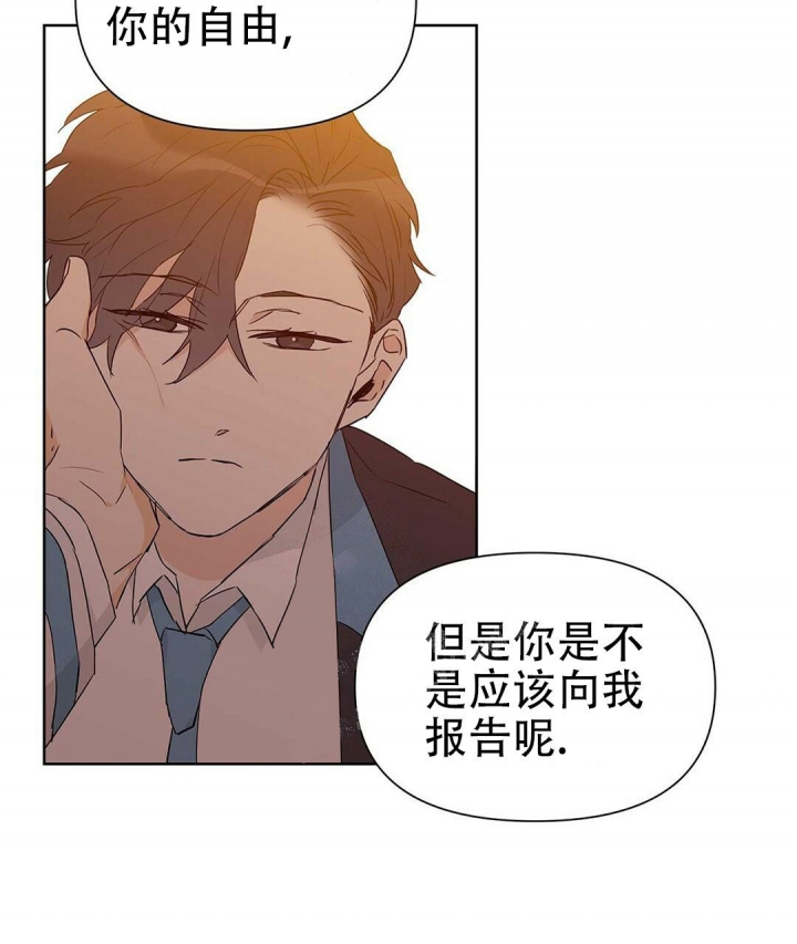 《 B级向导》漫画最新章节第43话免费下拉式在线观看章节第【15】张图片