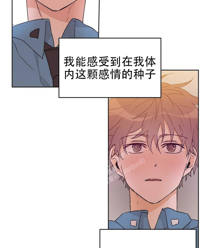 《 B级向导》漫画最新章节第58话免费下拉式在线观看章节第【39】张图片