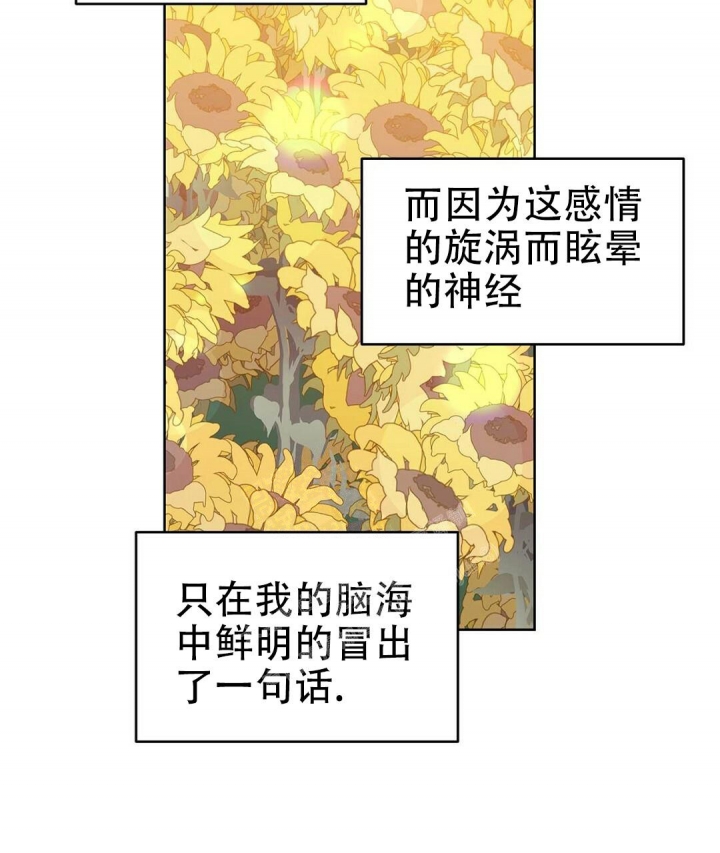 《 B级向导》漫画最新章节第61话免费下拉式在线观看章节第【41】张图片