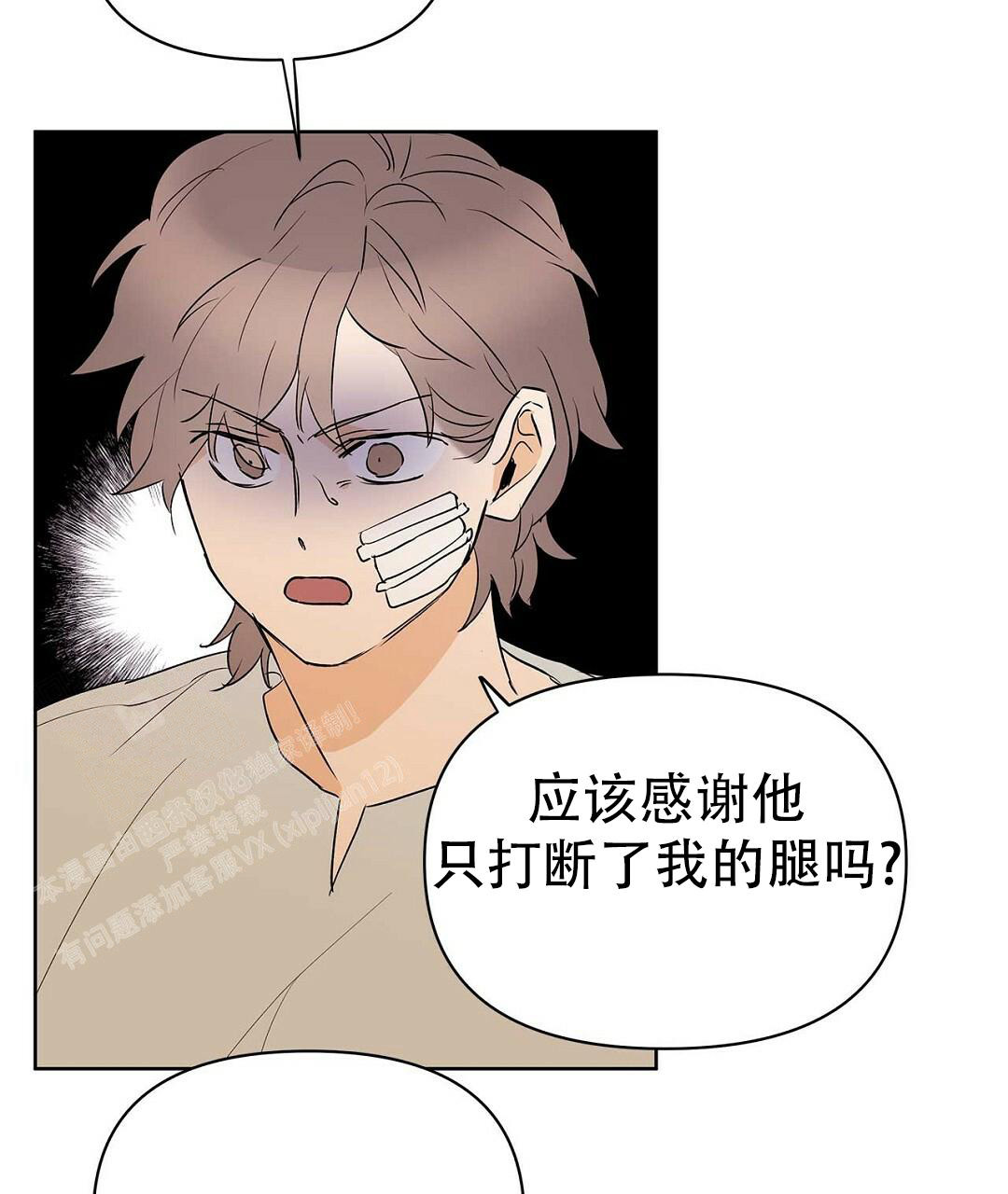 《 B级向导》漫画最新章节第110话免费下拉式在线观看章节第【36】张图片