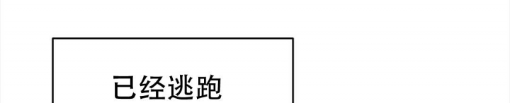 《 B级向导》漫画最新章节第34话免费下拉式在线观看章节第【65】张图片