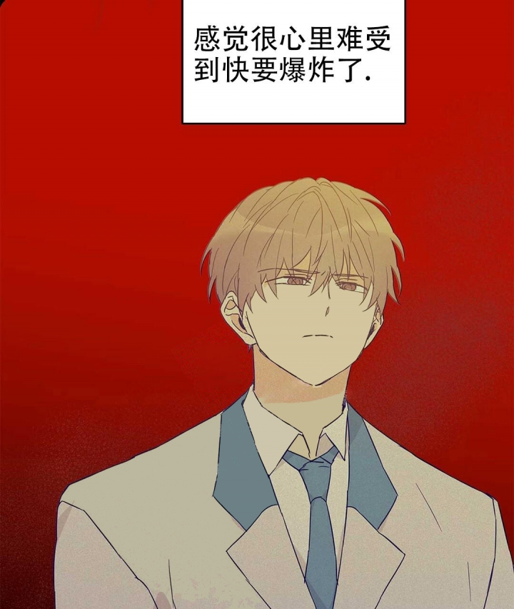 《 B级向导》漫画最新章节第37话免费下拉式在线观看章节第【67】张图片