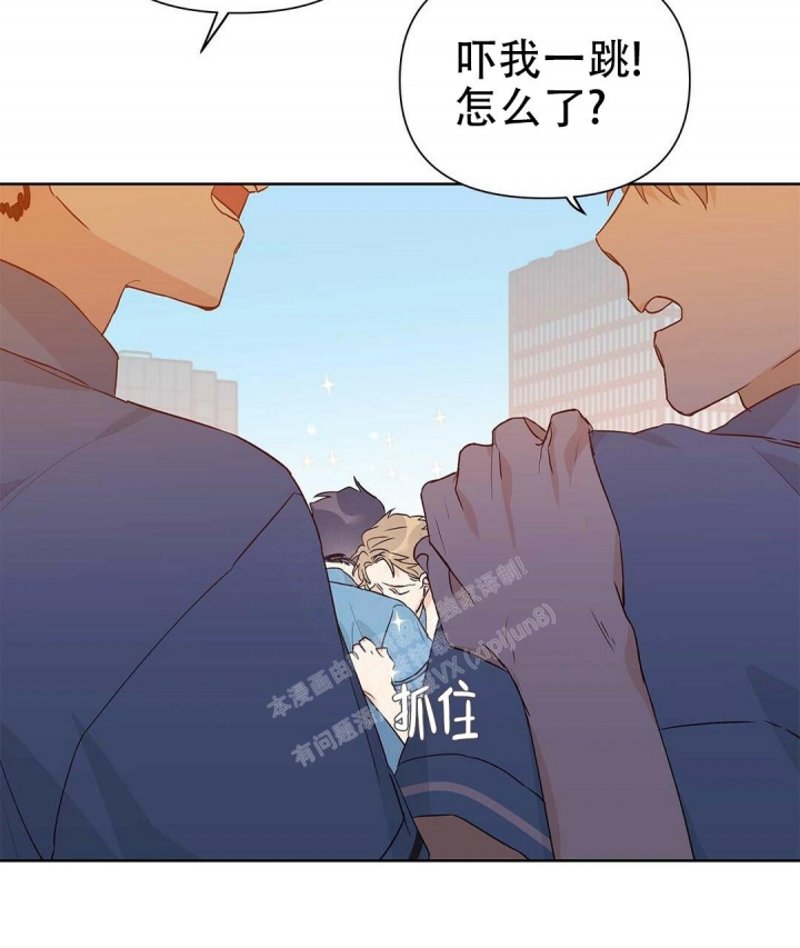 《 B级向导》漫画最新章节第49话免费下拉式在线观看章节第【31】张图片