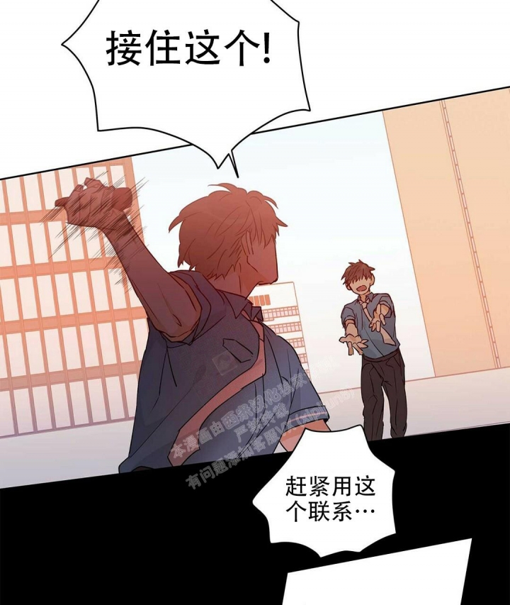 《 B级向导》漫画最新章节第52话免费下拉式在线观看章节第【8】张图片