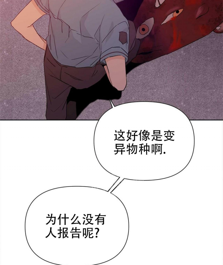 《 B级向导》漫画最新章节第51话免费下拉式在线观看章节第【17】张图片