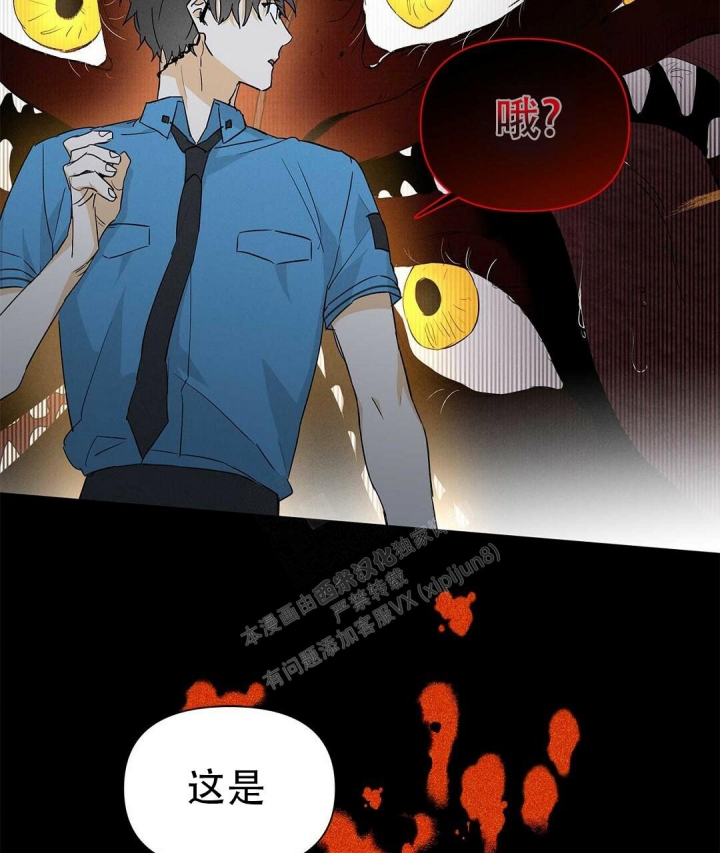 《 B级向导》漫画最新章节第49话免费下拉式在线观看章节第【17】张图片