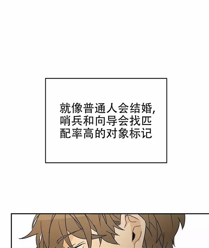 《 B级向导》漫画最新章节第2话免费下拉式在线观看章节第【1】张图片