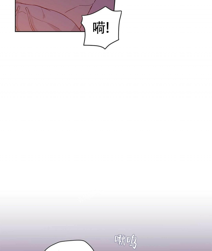 《 B级向导》漫画最新章节第40话免费下拉式在线观看章节第【46】张图片