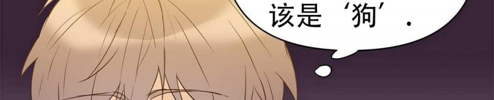 《 B级向导》漫画最新章节第66话免费下拉式在线观看章节第【17】张图片