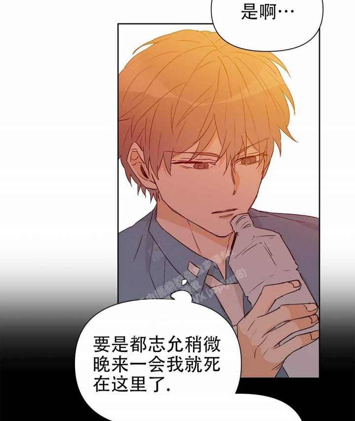 《 B级向导》漫画最新章节第53话免费下拉式在线观看章节第【35】张图片