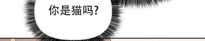 《 B级向导》漫画最新章节第27话免费下拉式在线观看章节第【69】张图片