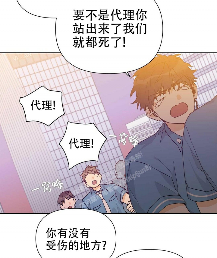 《 B级向导》漫画最新章节第52话免费下拉式在线观看章节第【51】张图片