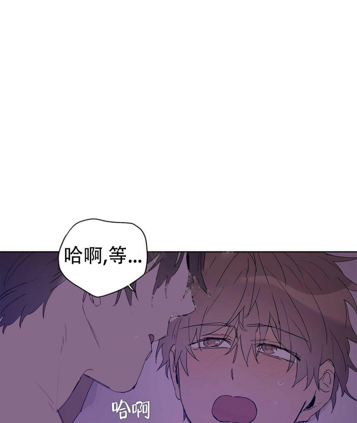 《 B级向导》漫画最新章节第40话免费下拉式在线观看章节第【36】张图片