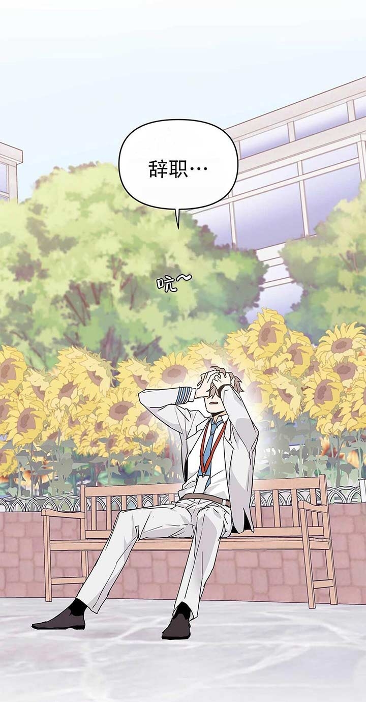 《 B级向导》漫画最新章节第20话免费下拉式在线观看章节第【7】张图片