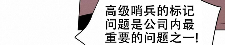 《 B级向导》漫画最新章节第76话免费下拉式在线观看章节第【74】张图片