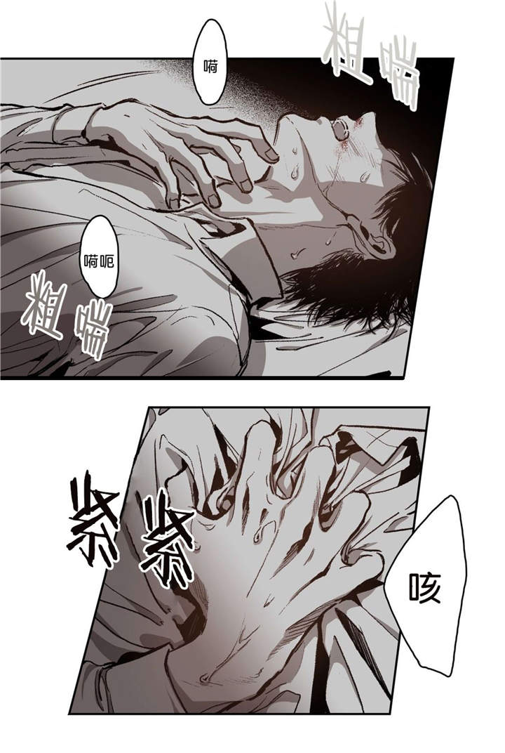 《监禁仓库(I+II季)》漫画最新章节第64话免费下拉式在线观看章节第【33】张图片