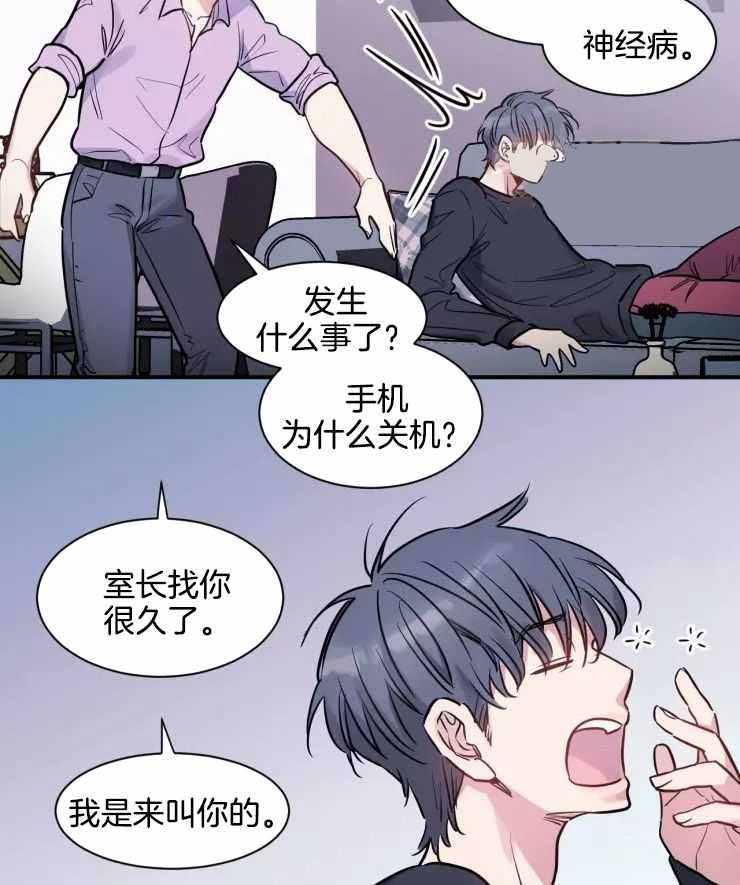 《疯子的法则》漫画最新章节第19话免费下拉式在线观看章节第【19】张图片