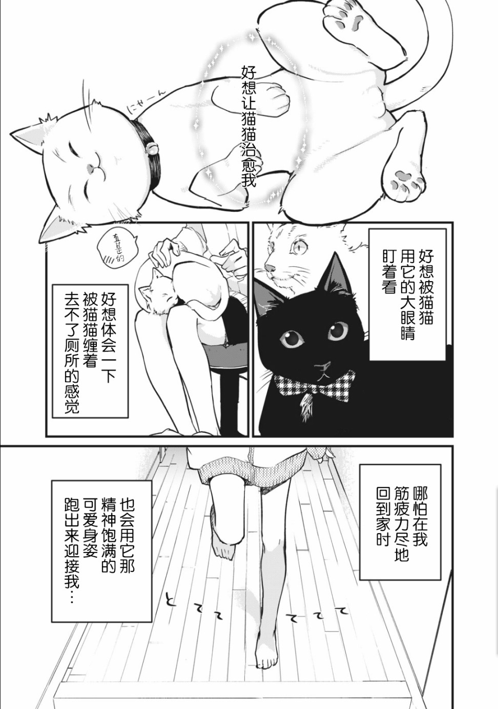 《家有幼猫♂》漫画最新章节第1.1话免费下拉式在线观看章节第【1】张图片