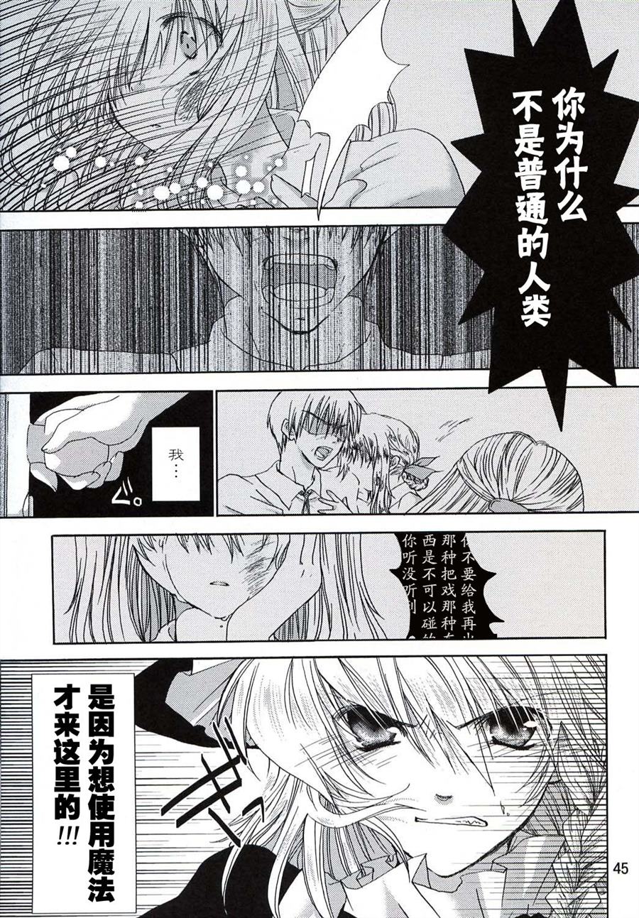 《雾雨魔理沙的古老日记》漫画最新章节第1话免费下拉式在线观看章节第【44】张图片