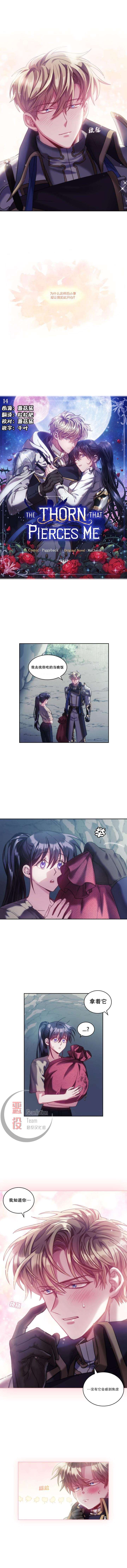 《穿刺我的荆棘》漫画最新章节第14话免费下拉式在线观看章节第【5】张图片