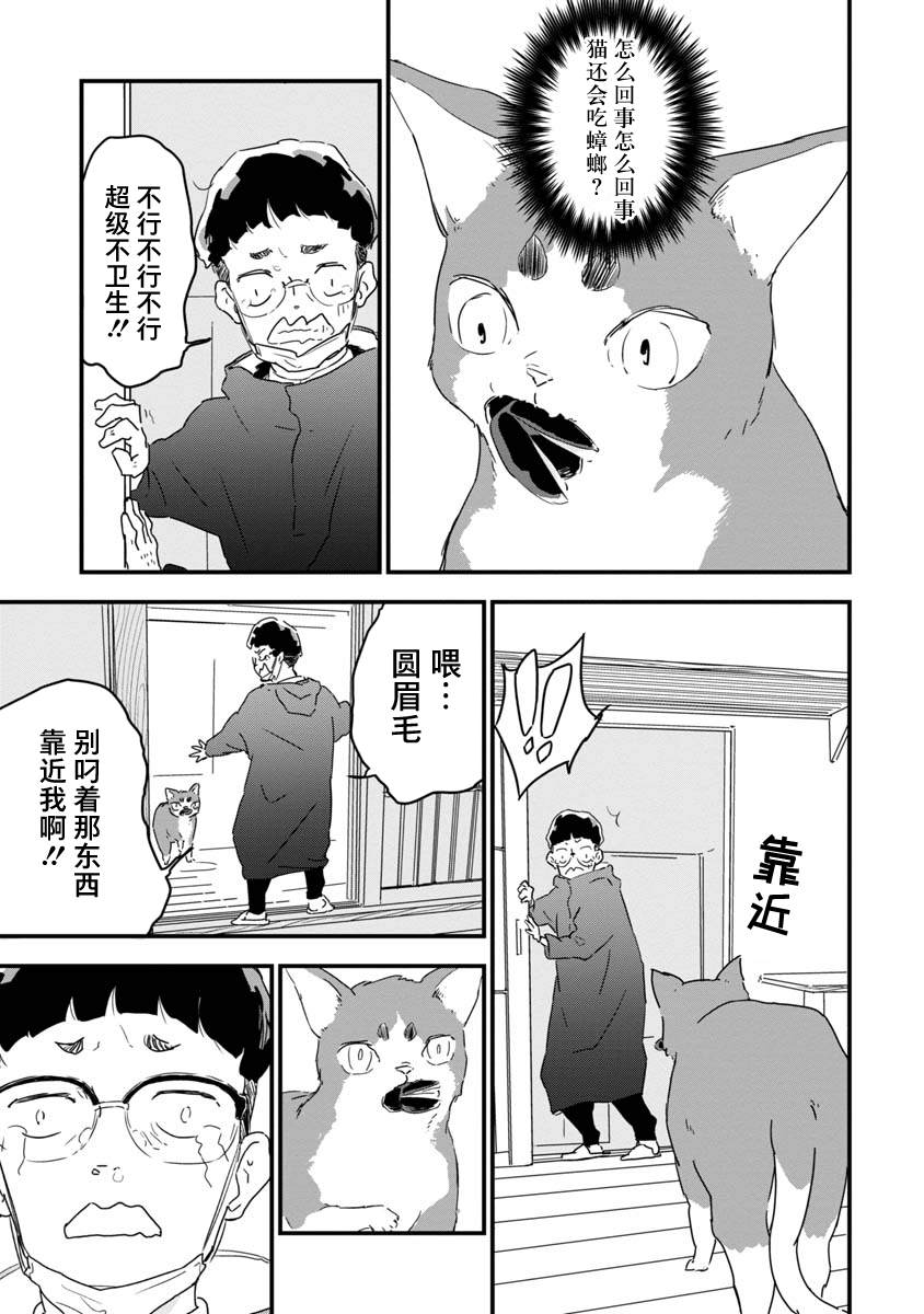 《果然我讨厌猫啊》漫画最新章节第1话免费下拉式在线观看章节第【31】张图片