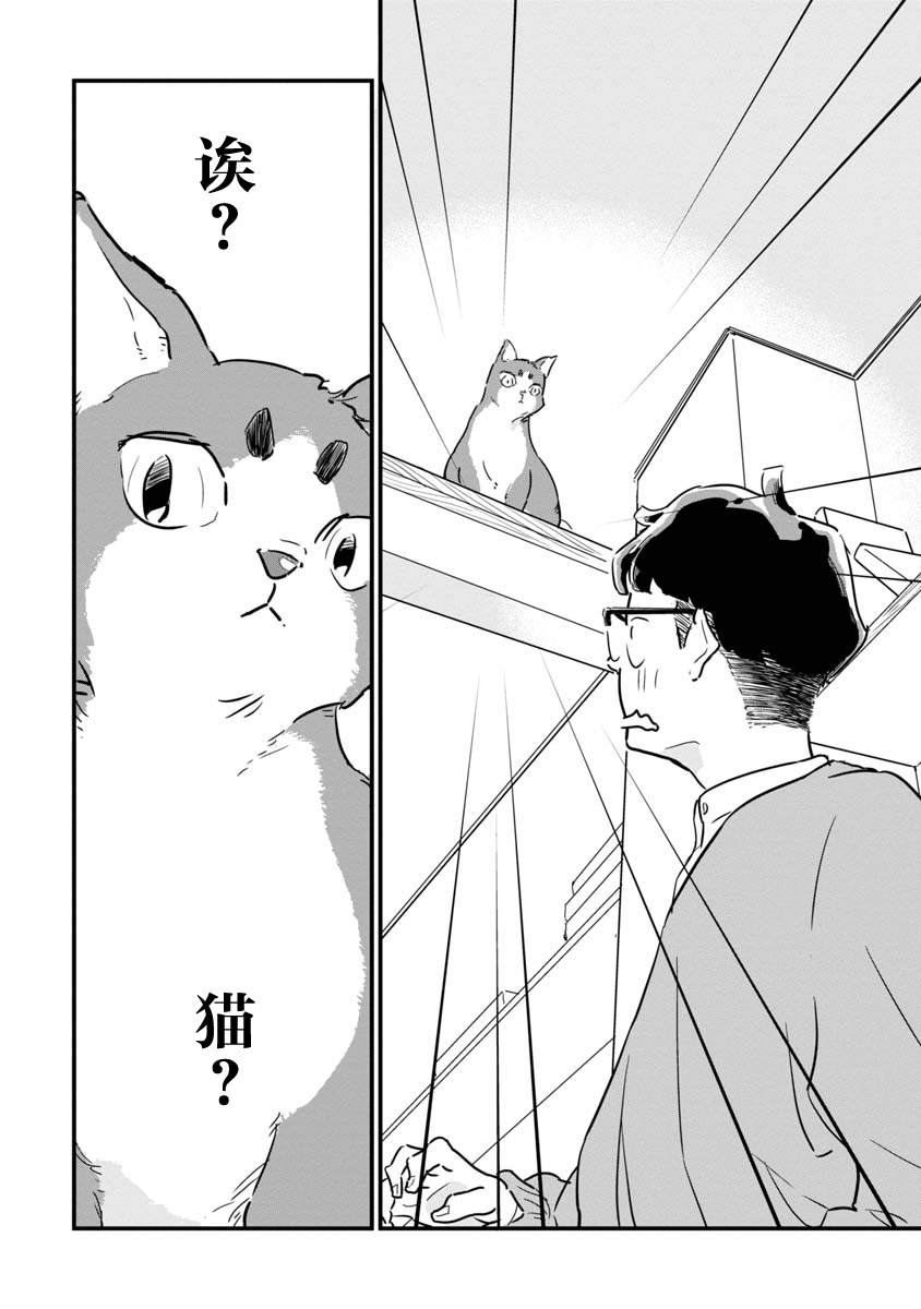 《果然我讨厌猫啊》漫画最新章节第1话免费下拉式在线观看章节第【10】张图片