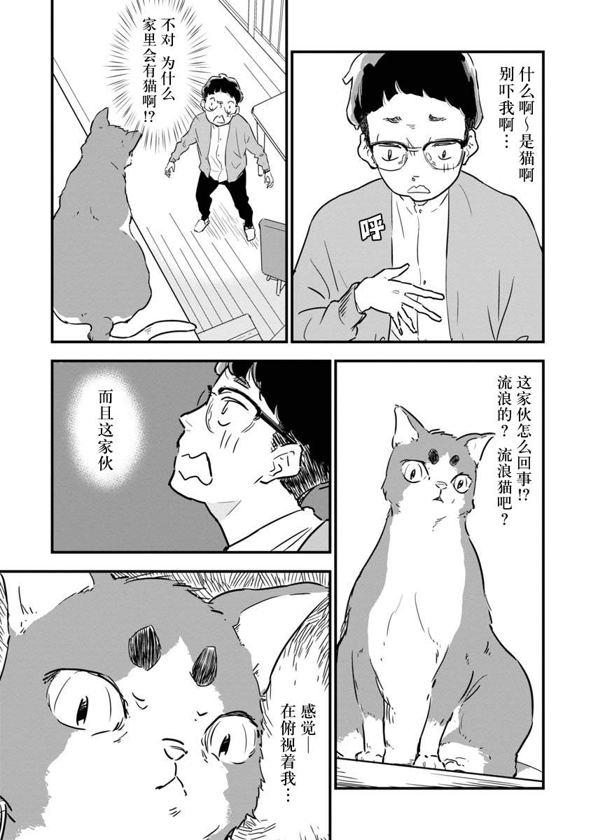 《果然我讨厌猫啊》漫画最新章节第1话免费下拉式在线观看章节第【11】张图片