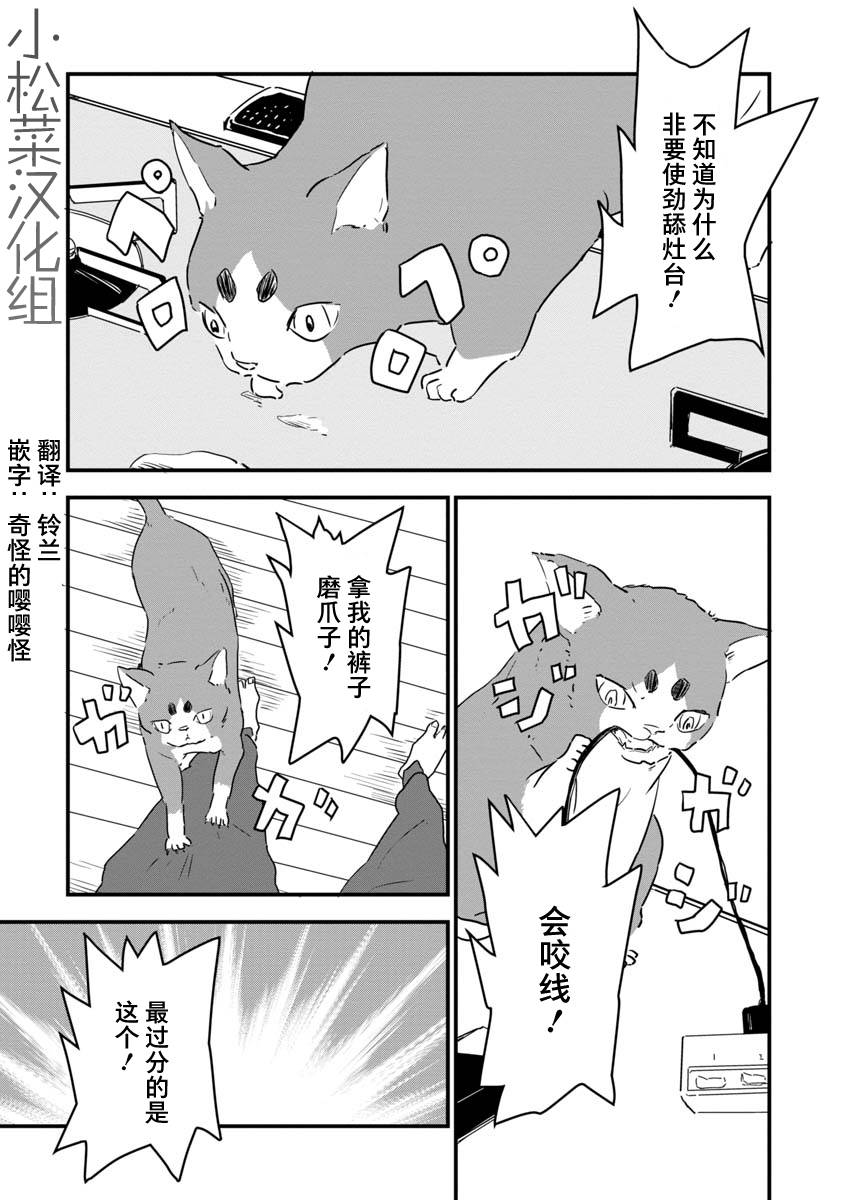 《果然我讨厌猫啊》漫画最新章节第2话免费下拉式在线观看章节第【4】张图片