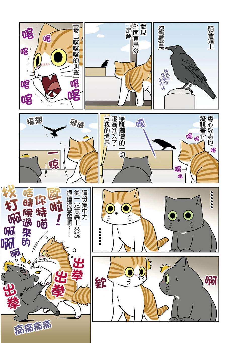《猫和我的日常》漫画最新章节第6话免费下拉式在线观看章节第【3】张图片