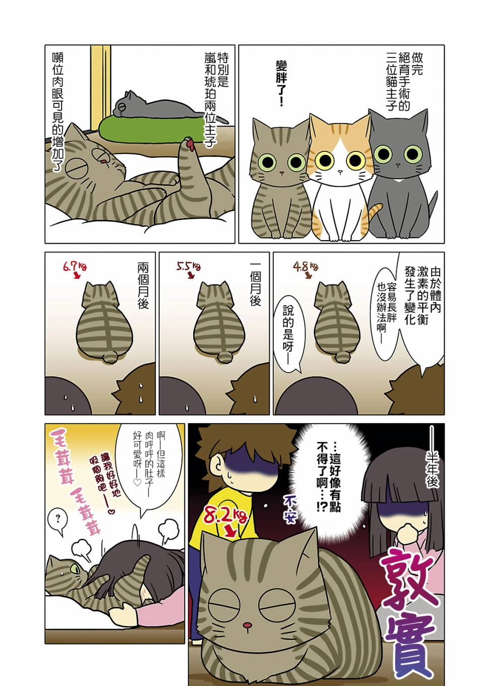 《猫和我的日常》漫画最新章节第6话免费下拉式在线观看章节第【2】张图片