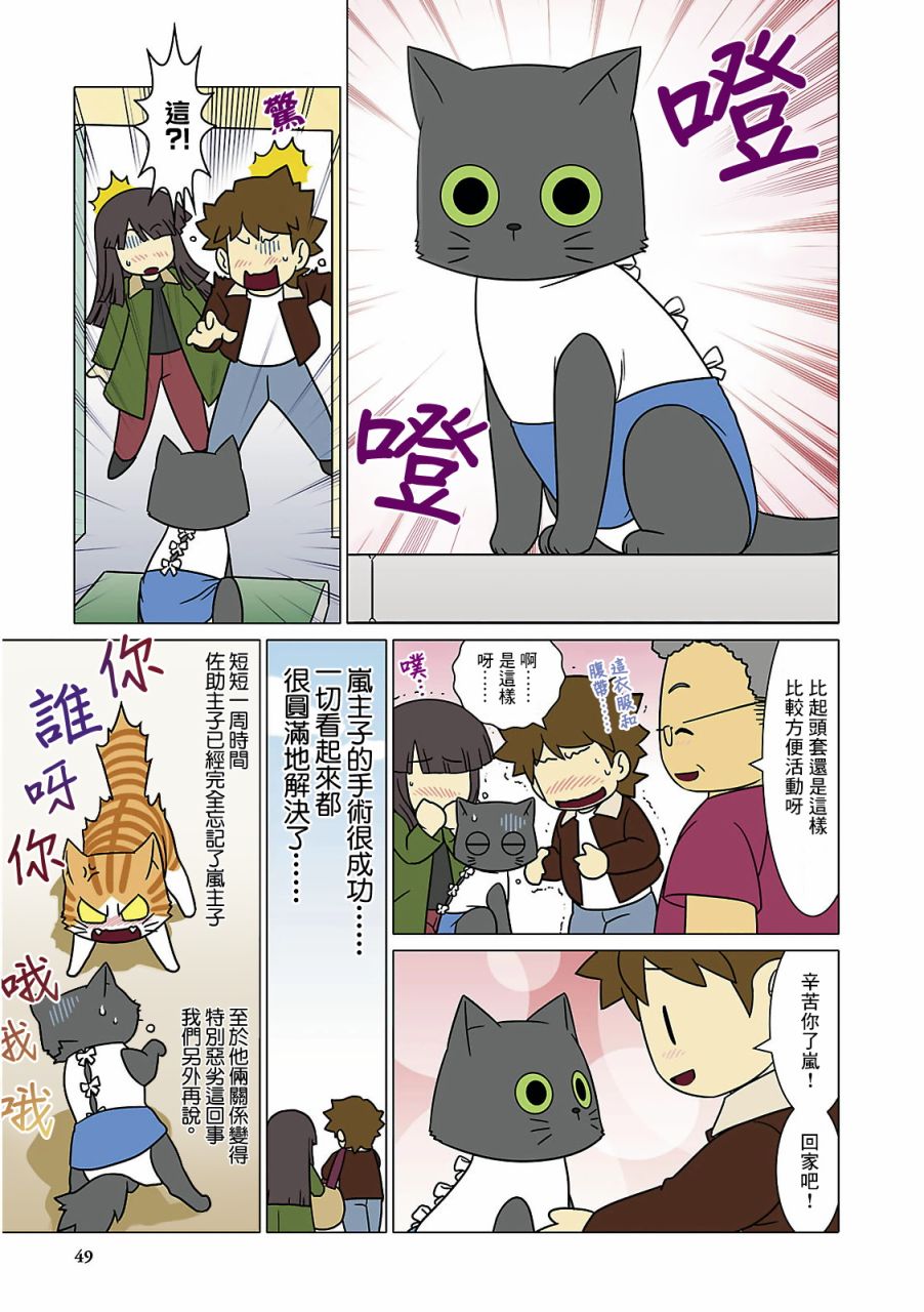 《猫和我的日常》漫画最新章节第5话免费下拉式在线观看章节第【7】张图片