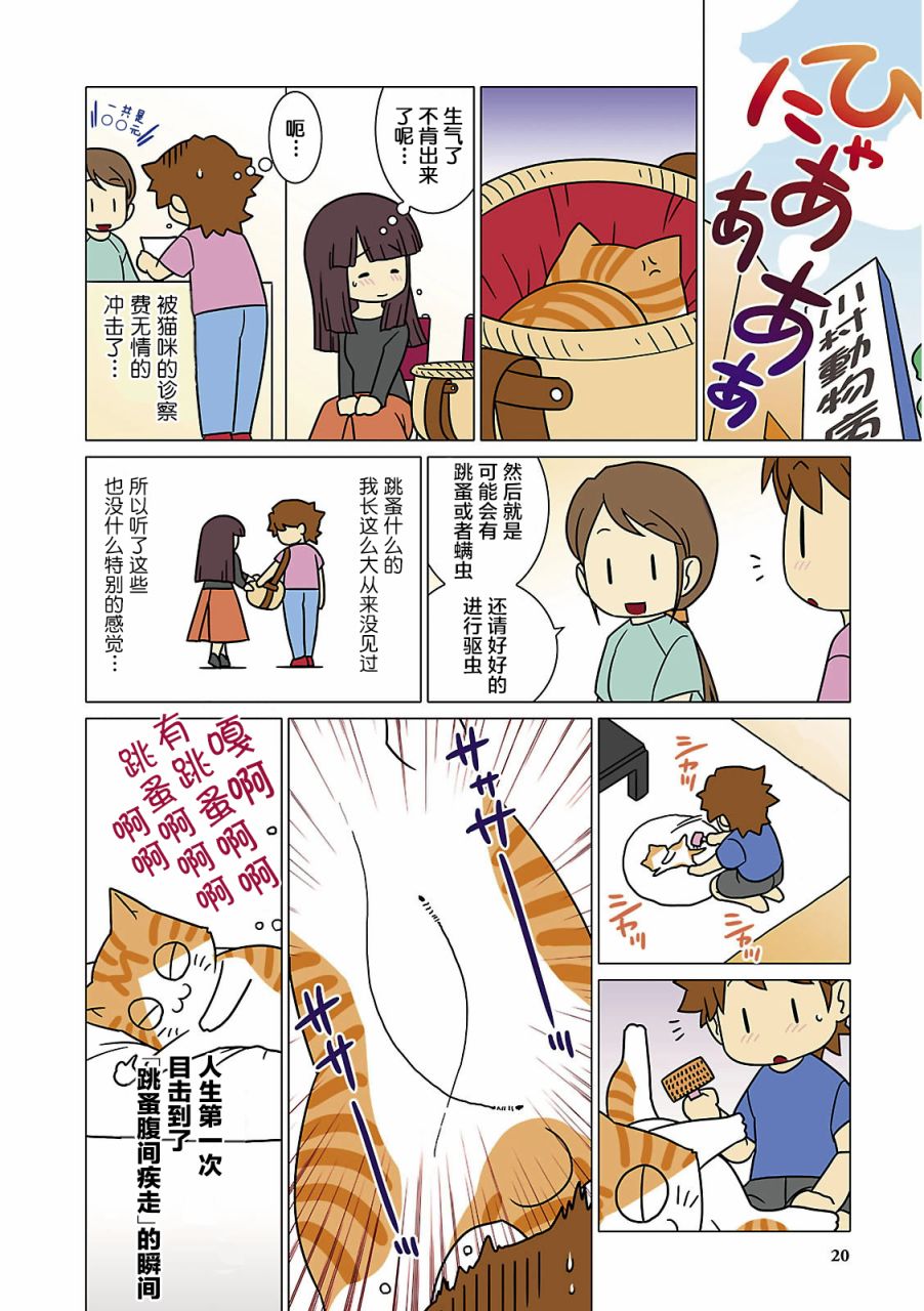 《猫和我的日常》漫画最新章节第2话免费下拉式在线观看章节第【8】张图片