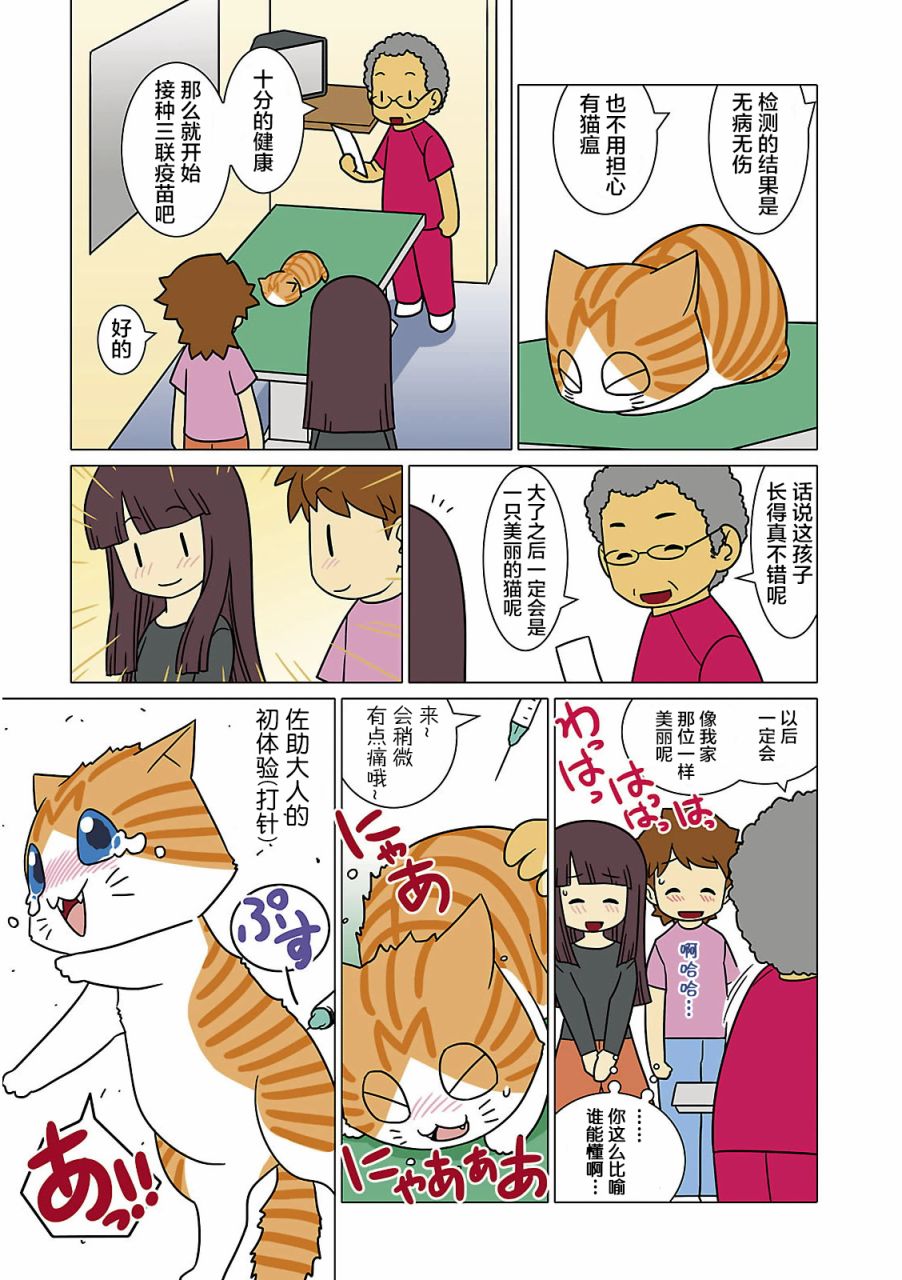 《猫和我的日常》漫画最新章节第2话免费下拉式在线观看章节第【7】张图片