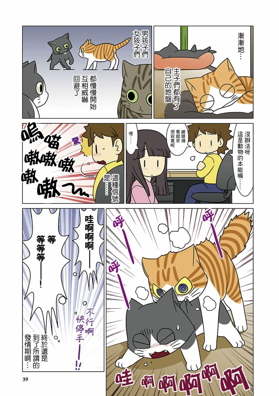 《猫和我的日常》漫画最新章节第4话免费下拉式在线观看章节第【7】张图片