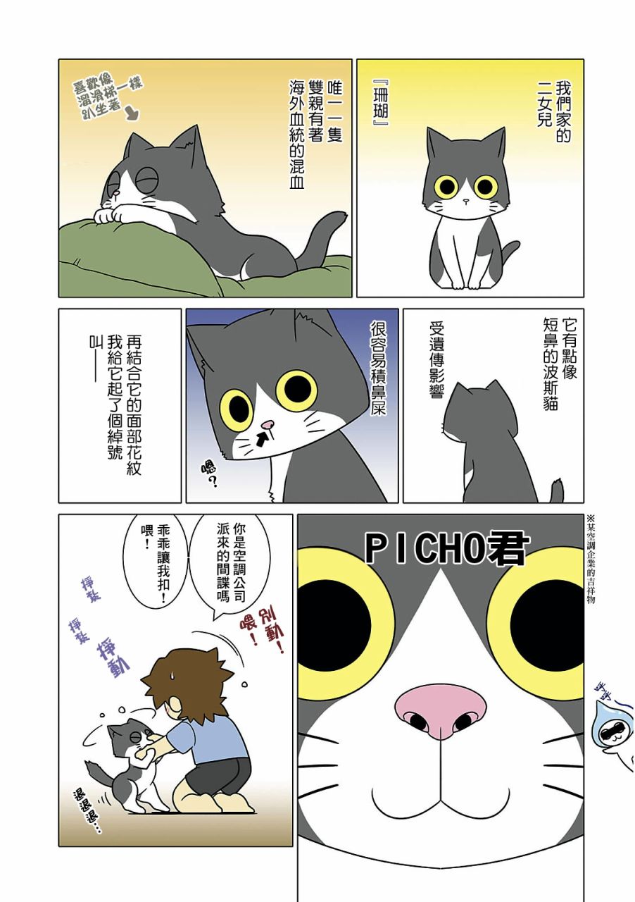 《猫和我的日常》漫画最新章节第4话免费下拉式在线观看章节第【4】张图片