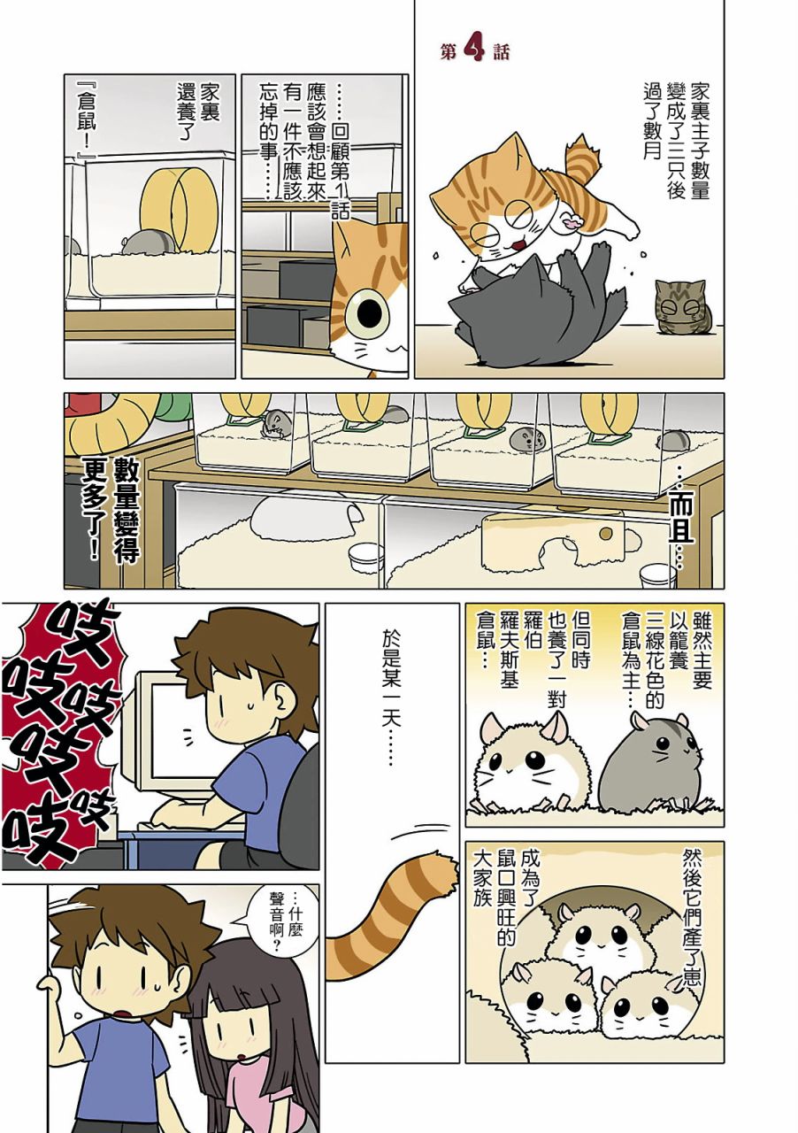 《猫和我的日常》漫画最新章节第4话免费下拉式在线观看章节第【1】张图片