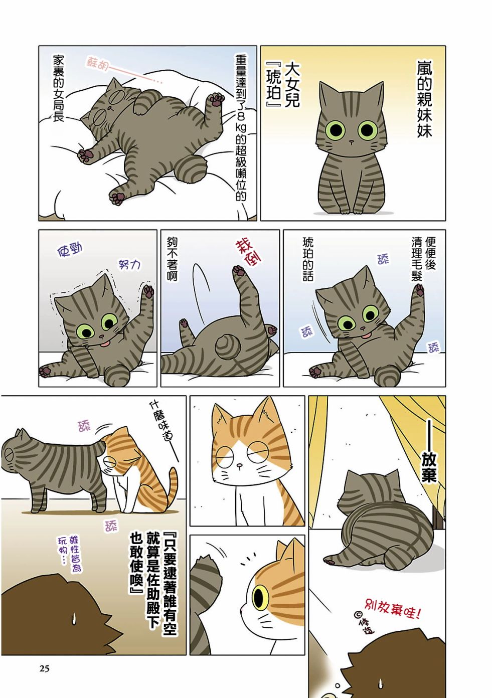 《猫和我的日常》漫画最新章节第3话免费下拉式在线观看章节第【3】张图片