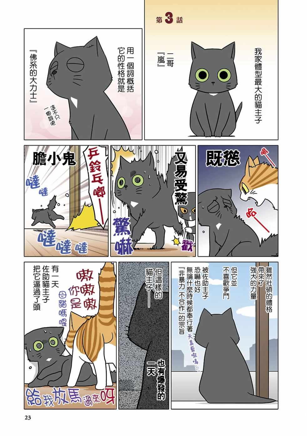 《猫和我的日常》漫画最新章节第3话免费下拉式在线观看章节第【1】张图片