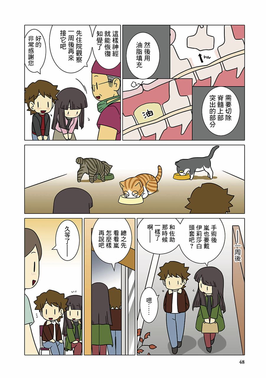 《猫和我的日常》漫画最新章节第5话免费下拉式在线观看章节第【6】张图片