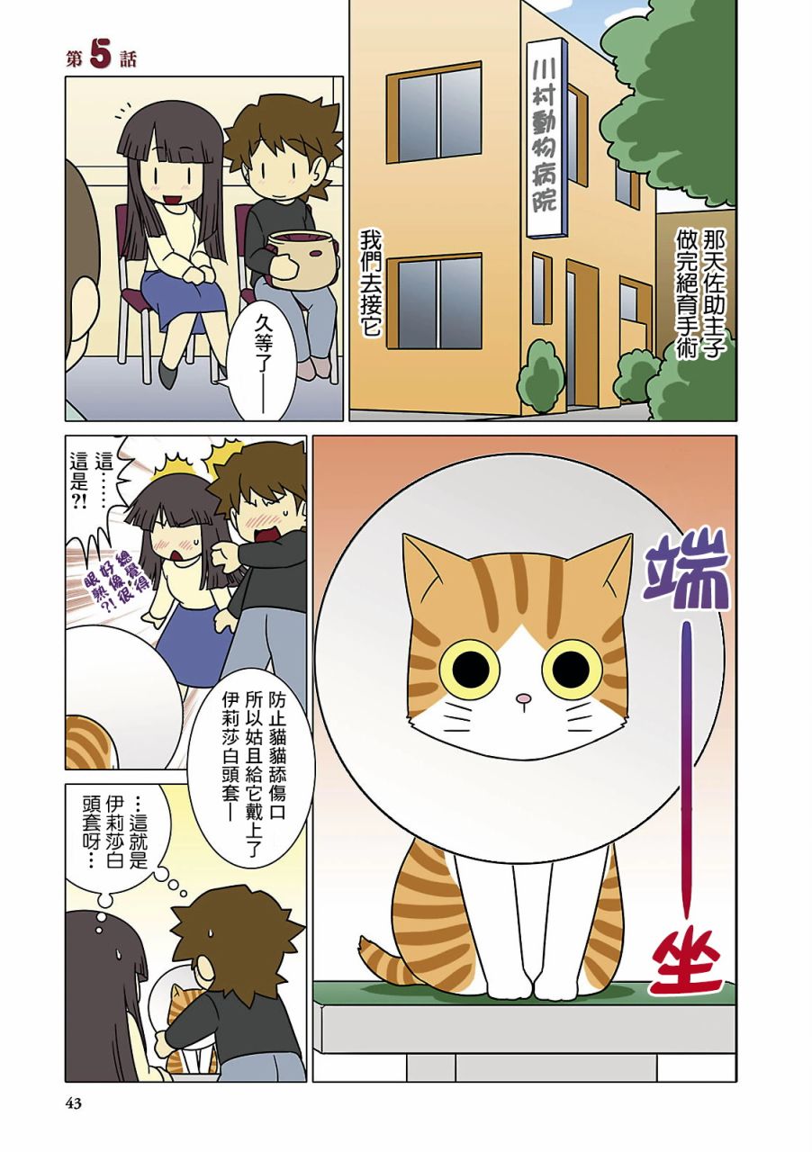 《猫和我的日常》漫画最新章节第5话免费下拉式在线观看章节第【1】张图片