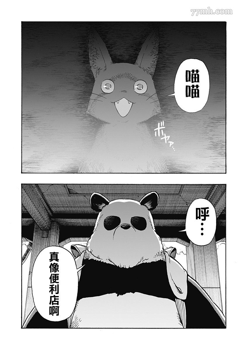 《终末的熊猫》漫画最新章节第2话 后篇免费下拉式在线观看章节第【27】张图片