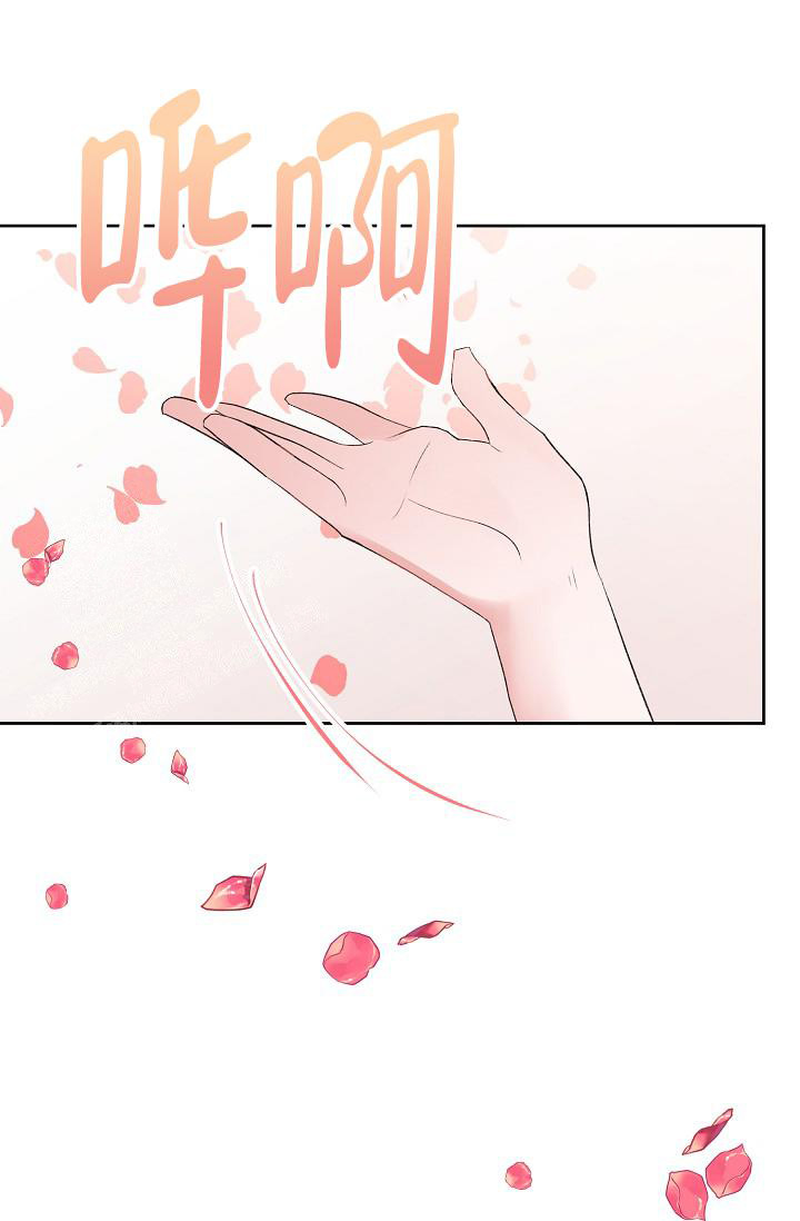 《前辈别哭(I+II季)》漫画最新章节第96话免费下拉式在线观看章节第【12】张图片