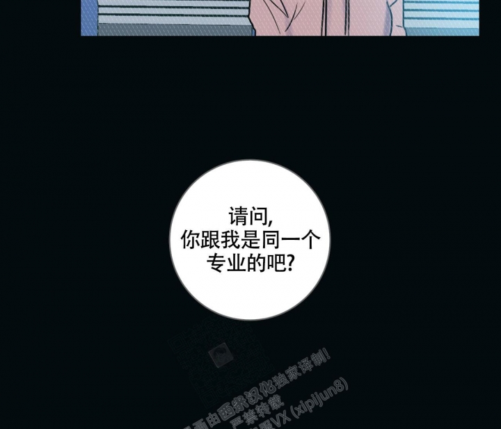 《最普通的恋爱》漫画最新章节第17话免费下拉式在线观看章节第【59】张图片